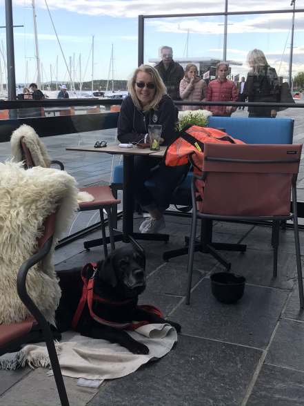 Dogs at a cozy café